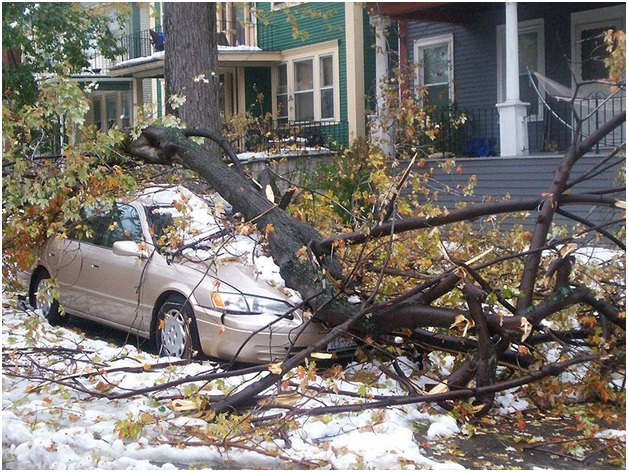 The Real Financial Cost of the Winter Storms